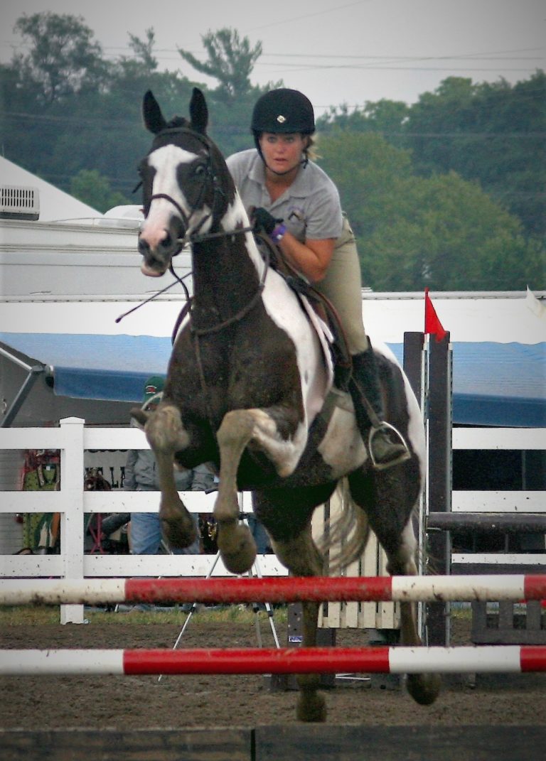 Lessons Riding Lessons Program Horse Riding Lessons NY Horse